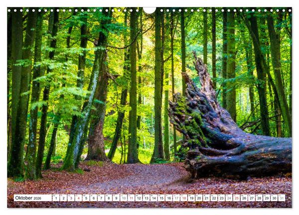 Produktbild: Insel R&uuml;gen - Meine wilde Ostsee-Romanze (Wandkalender 2026 DIN A3 quer), CALVENDO Monatskalender