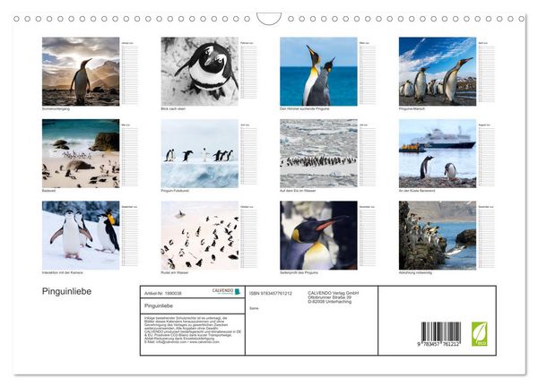 Produktbild: Pinguinliebe (Wandkalender 2026 DIN A3 quer), CALVENDO Monatskalender