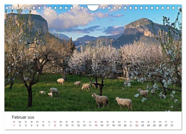 Produktbild: Mallorca - auf in den Urlaub (Wandkalender 2026 DIN A4 quer), CALVENDO Monatskalender