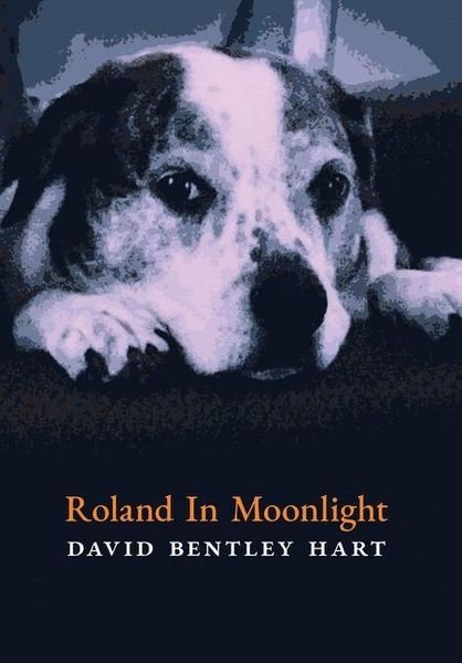 Produktbild: Roland in Moonlight