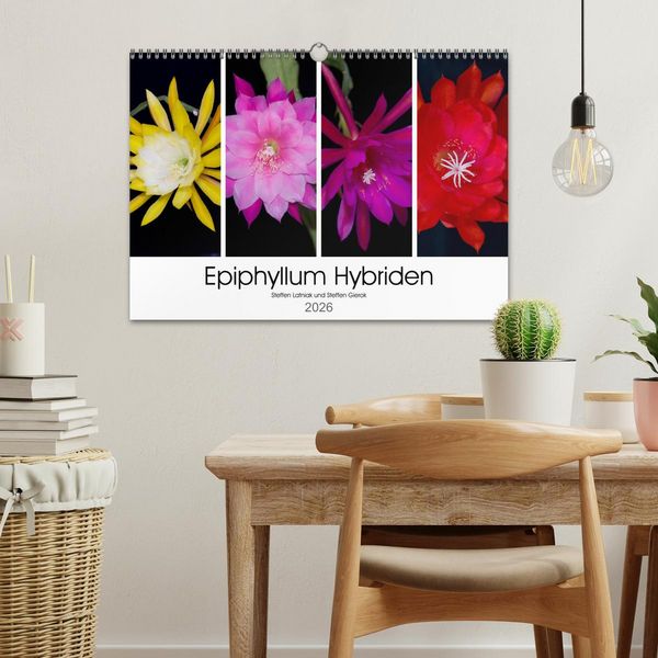 Produktbild: Epiphyllum-Hybriden (Wandkalender 2026 DIN A3 quer), CALVENDO Monatskalender