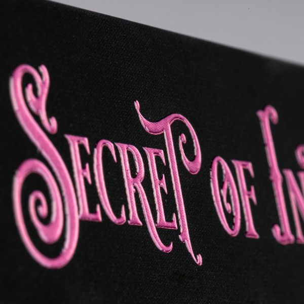 Produktbild: The Secret of Ink (Chronica Arcana 2)
