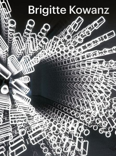 Produktbild: Brigitte Kowanz - Light is what we see