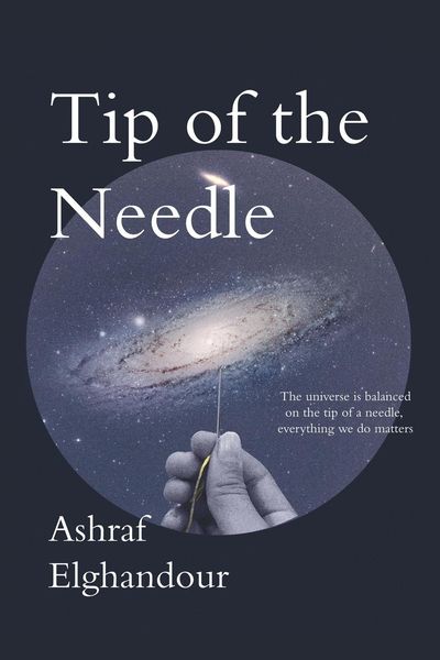 Produktbild: Tip of the Needle