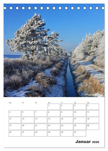 Produktbild: Sankt Peter-Ording Sonne, Strand und Meer (Tischkalender 2026 DIN A5 hoch), CALVENDO Monatskalender