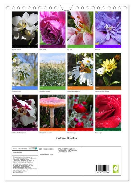 Produktbild: Senteurs florales (Calendrier mural 2026 DIN A4 horizontal), CALVENDO calendrier mensuel