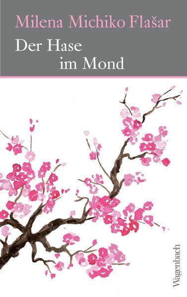 Produktbild: Der Hase im Mond