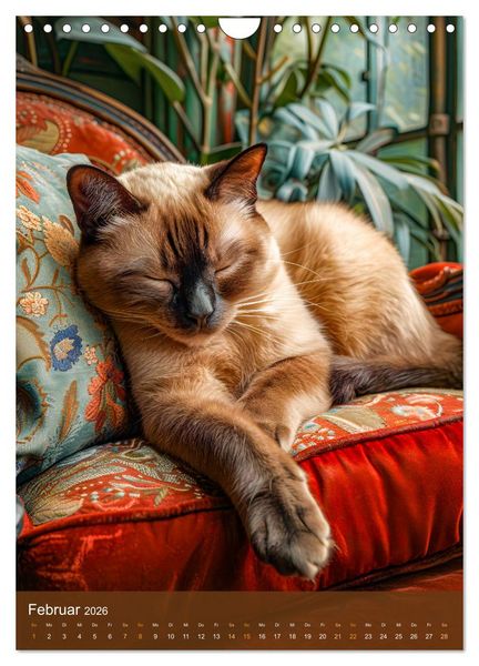 Produktbild: Kuschelkatzen - Fellnasen im Schlummerland (Wandkalender 2026 DIN A4 hoch), CALVENDO Monatskalender