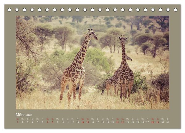 Produktbild: Tansania - Mensch, Tier und Landschaft (Tischkalender 2026 DIN A5 quer), CALVENDO Monatskalender