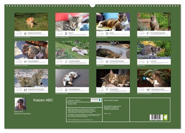 Produktbild: Katzen ABC (Wandkalender 2026 DIN A2 quer), CALVENDO Monatskalender