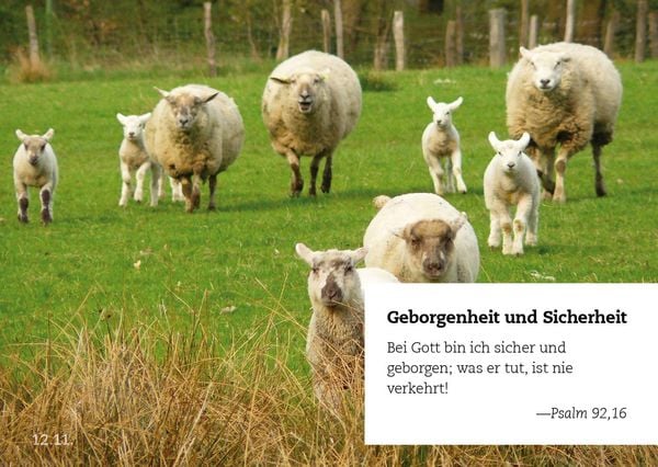 Produktbild: 365 Verhei&szlig;ungen