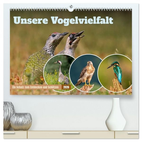 Unsere Vogelvielfalt: Ein Schatz zum Entdecken und Schützen (hochwertiger Premium Wandkalender 2026 DIN A2 quer), Kunstdruck in Hochglanz