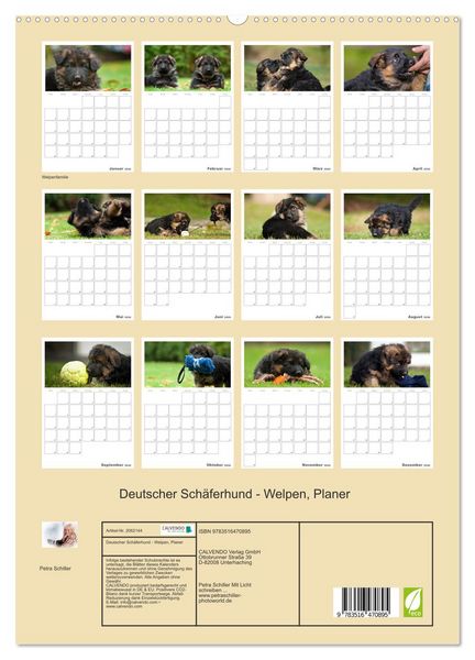 Produktbild: Deutscher Sch&auml;ferhund - Welpen, Planer (hochwertiger Premium Wandkalender 2026 DIN A2 hoch), Kunstdruck in Hochglanz