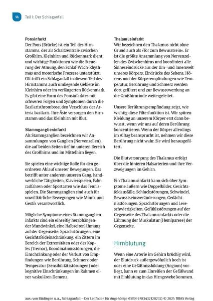 Produktbild: Schlaganfall - Der Leitfaden f&uuml;r Angeh&ouml;rige