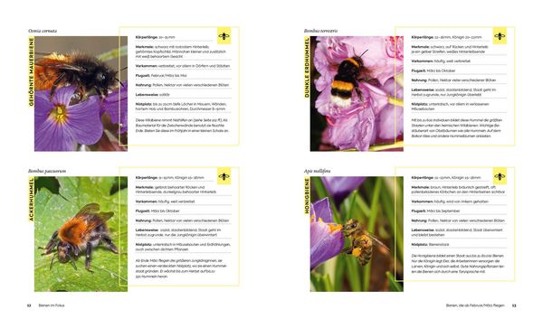 Produktbild: Wildbienenfreundlich g&auml;rtnern f&uuml;r Balkon, Terrasse und kleine G&auml;rten