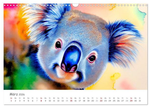 Produktbild: Der Koala 2026. Aschgrauer Beutelb&auml;r (Wandkalender 2026 DIN A3 quer), CALVENDO Monatskalender
