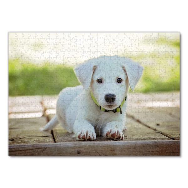 Produktbild: Lais Puzzle Hund 500 Teile