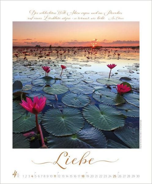 Produktbild: Buddhistische Weisheiten 2027