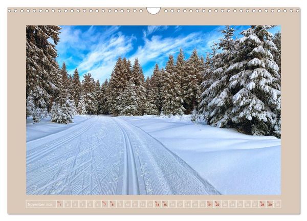 Produktbild: Vogtland - 900 Jahre Plauen (Wandkalender 2026 DIN A3 quer), CALVENDO Monatskalender
