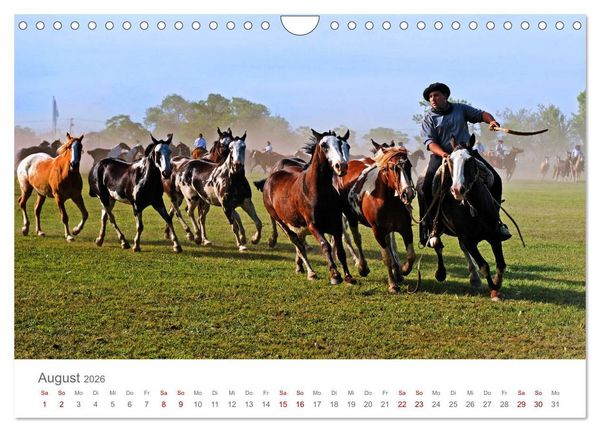 Produktbild: Faszinierendes Argentinien (Wandkalender 2026 DIN A4 quer), CALVENDO Monatskalender