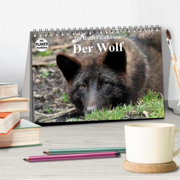 Produktbild: Im Rudel Zuhause - Der Wolf (Tischkalender 2027 DIN A5 quer), CALVENDO Monatskalender