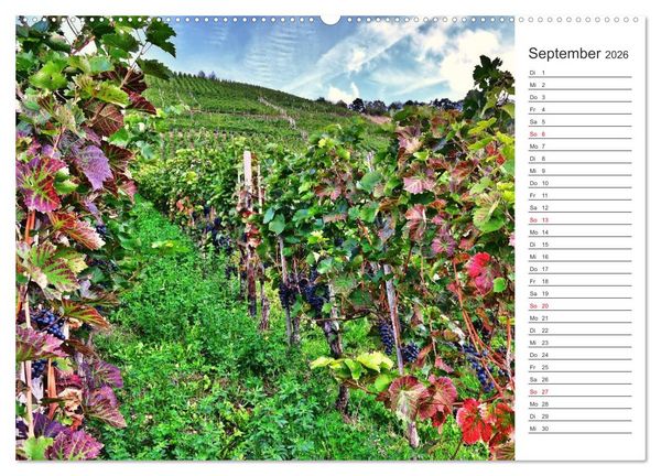 Produktbild: Bildsch&ouml;n - Die Mosel (hochwertiger Premium Wandkalender 2026 DIN A2 quer), Kunstdruck in Hochglanz