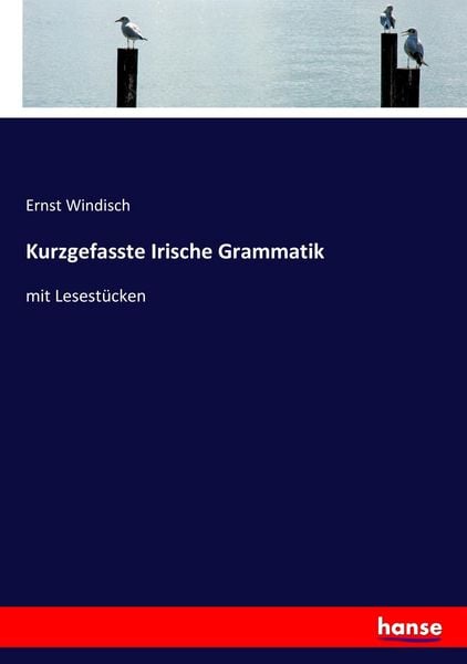 Kurzgefasste Irische Grammatik, Taschenbuch von Ernst Windisch, Hansebooks, 9783744641418