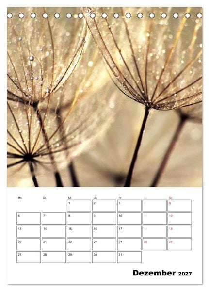 Produktbild: Pusteblumentraum - Dreams of Dandelion (Tischkalender 2027 DIN A5 hoch), CALVENDO Monatskalender