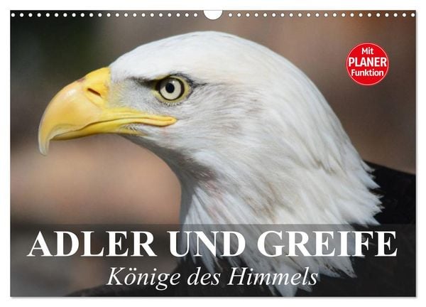 Produktbild: Adler und Greife. K&ouml;nige des Himmels (Wandkalender 2026 DIN A3 quer), CALVENDO Monatskalender
