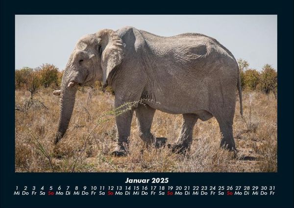 Produktbild: Der Elefantenkalender 2025 Fotokalender DIN A4