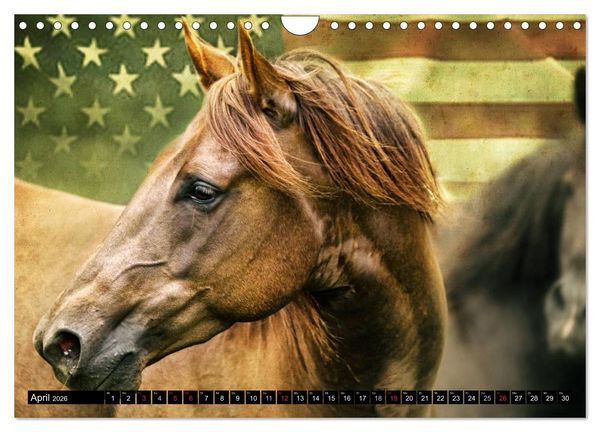 Produktbild: Western und Pferde (Wandkalender 2026 DIN A4 quer), CALVENDO Monatskalender