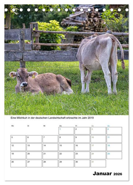 Produktbild: Liebenswerte Landtiere (Tischkalender 2026 DIN A5 hoch), CALVENDO Monatskalender