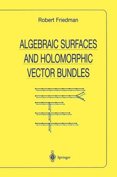 Produktbild: Algebraic Surfaces and Holomorphic Vector Bundles