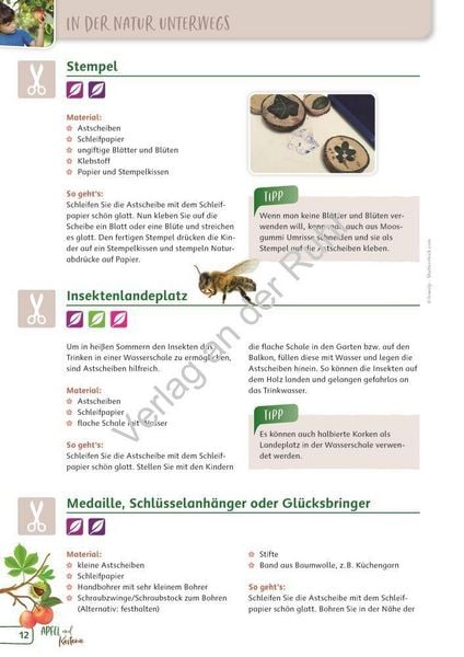 Produktbild: Paket: Heimische B&auml;ume