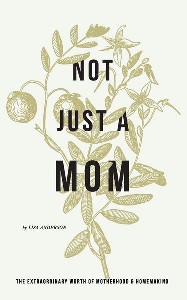 Produktbild: Anderson, L: Not Just a Mom