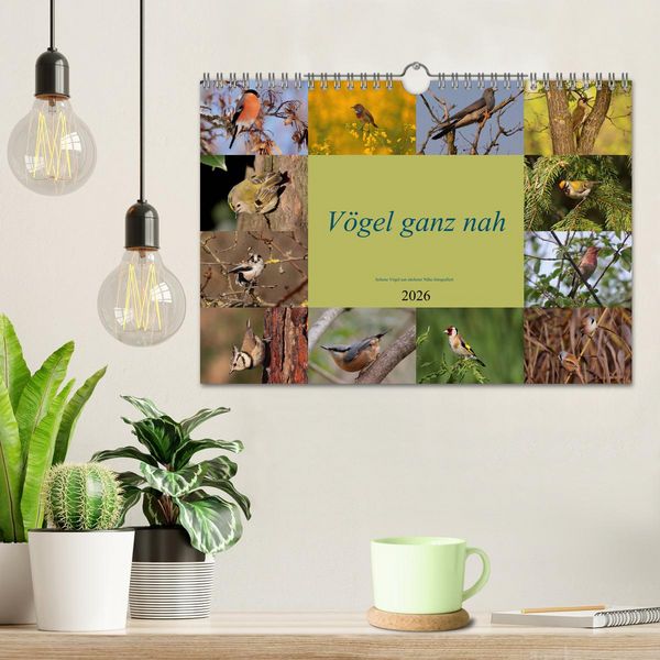 Produktbild: V&ouml;gel ganz nah (Wandkalender 2026 DIN A4 quer), CALVENDO Monatskalender