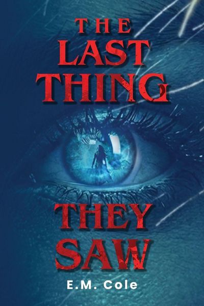 Produktbild: The Last Thing They Saw