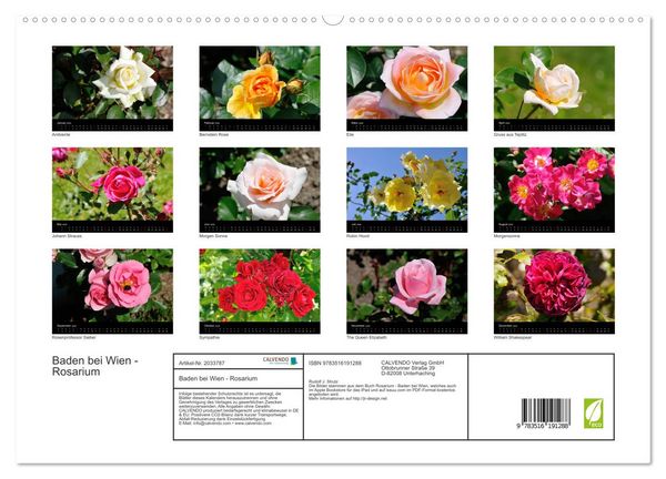Produktbild: Baden bei Wien - Rosarium (hochwertiger Premium Wandkalender 2026 DIN A2 quer), Kunstdruck in Hochglanz