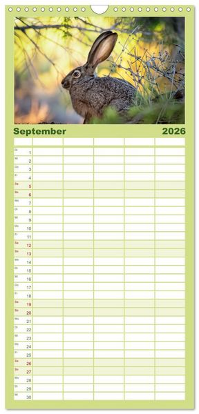 Produktbild: Familienplaner 2026 - Feldhasen und Kaninchen mit 5 Spalten (Wandkalender, 21 x 45 cm) CALVENDO
