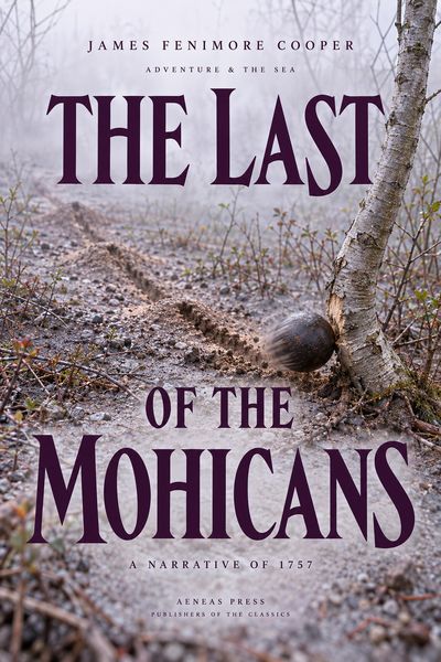 Produktbild: The Last of the Mohicans