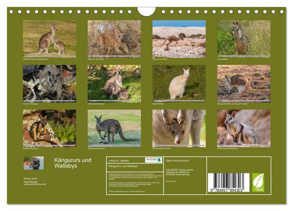Produktbild: K&auml;ngururs und Wallabys (Wandkalender 2026 DIN A4 quer), CALVENDO Monatskalender