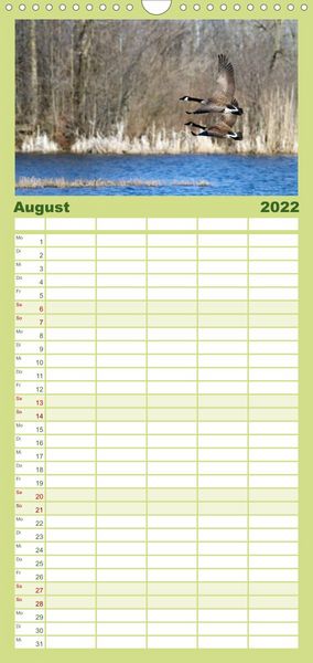 Produktbild: KANADA-GANS - Der 'hupende' Vogel - Familienplaner hoch (Wandkalender 2022 , 21 cm x 45 cm, hoch)