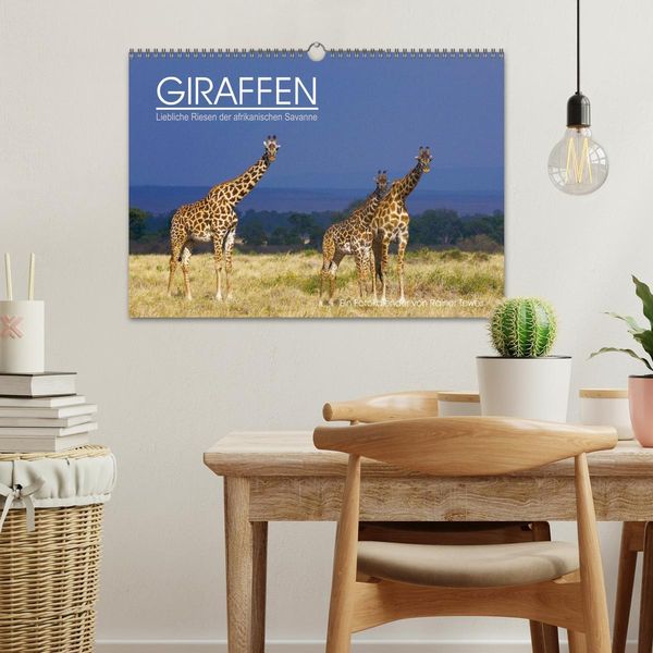 Produktbild: GIRAFFEN - Liebliche Riesen der afrikanischen Savanne (Wandkalender 2026 DIN A3 quer), CALVENDO Monatskalender