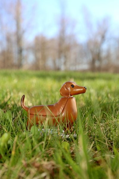 Solar Dashund - Boudewijn