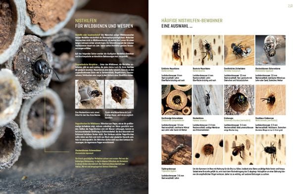 Produktbild: WILDBIENENHELFER