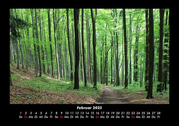 Produktbild: Waldzauber 2025 Fotokalender DIN A3