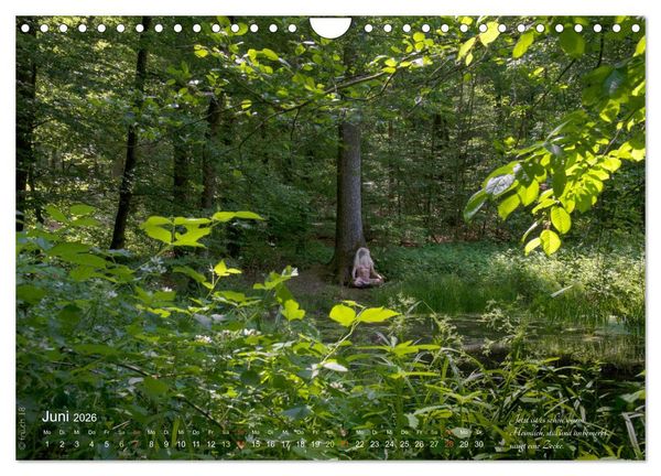 Produktbild: HAIKU AM TEICH (Wandkalender 2026 DIN A4 quer), CALVENDO Monatskalender