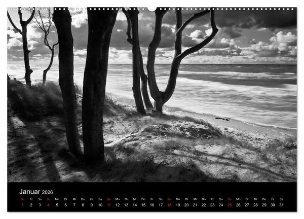 Produktbild: Strandspaziergang an der Ostsee (Wandkalender 2026 DIN A2 quer), CALVENDO Monatskalender