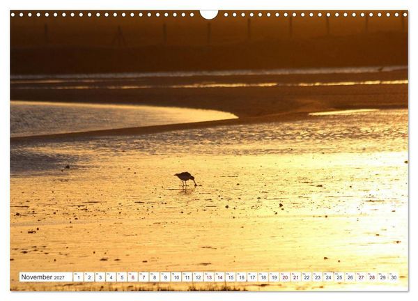 Produktbild: Seel&auml;ndisches Flandern (Wandkalender 2027 DIN A3 quer), CALVENDO Monatskalender