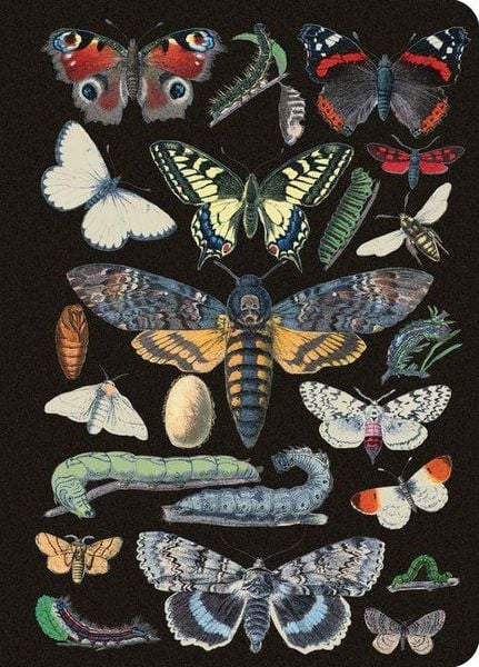 Produktbild: Vintage Butterflies Journal / Notebook / Diary - Lined Pages